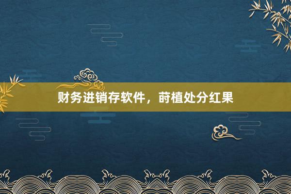 财务进销存软件，莳植处分红果